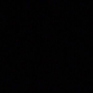 Meet your Posher, Ginger